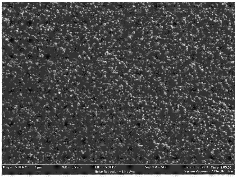 A magnetic microsphere of immobilized earthworm fibrinolytic enzyme and its preparation method