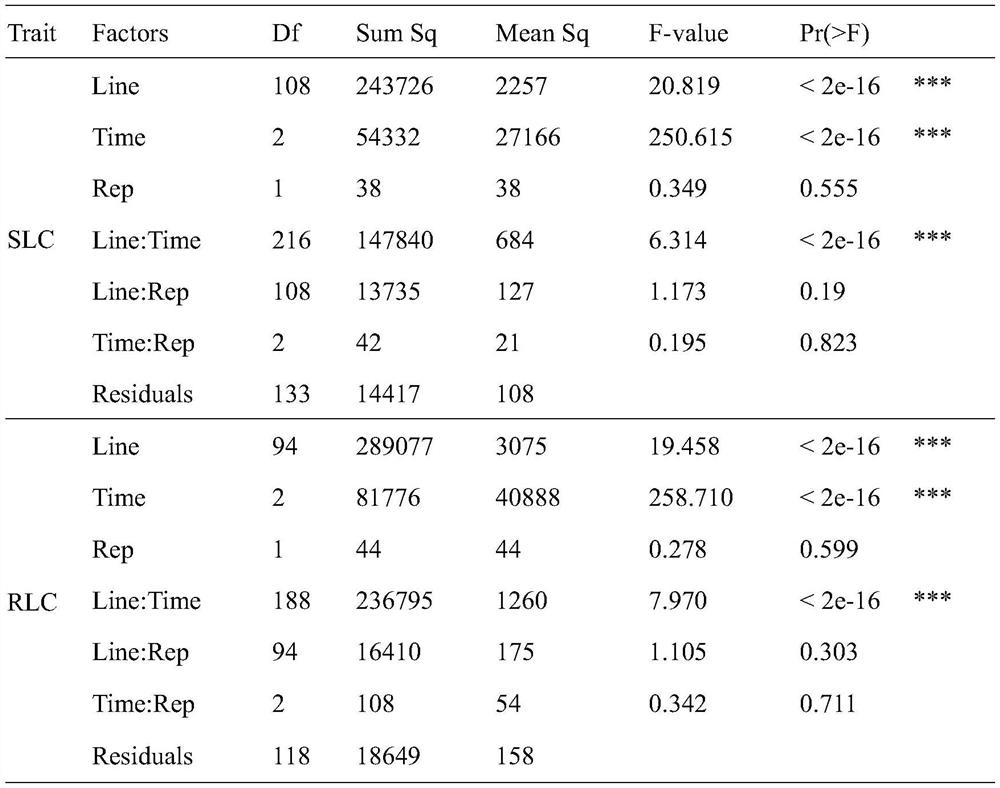 SNP molecular markers related to lead accumulation in maize plants and their applications