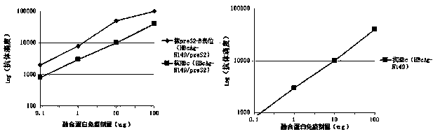 Recombinant fusion protein and use thereof