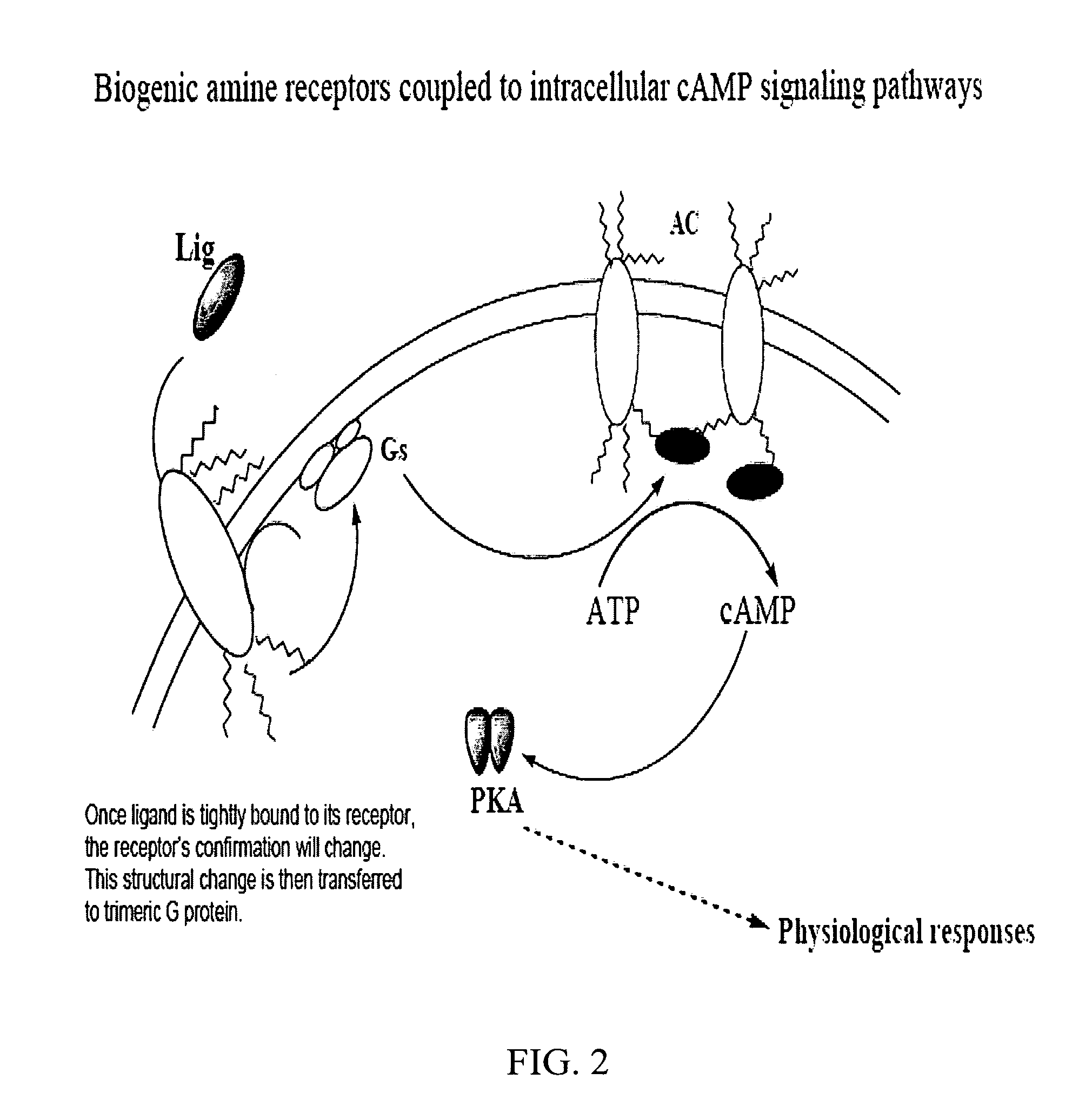 Synergistic pest-control compositions