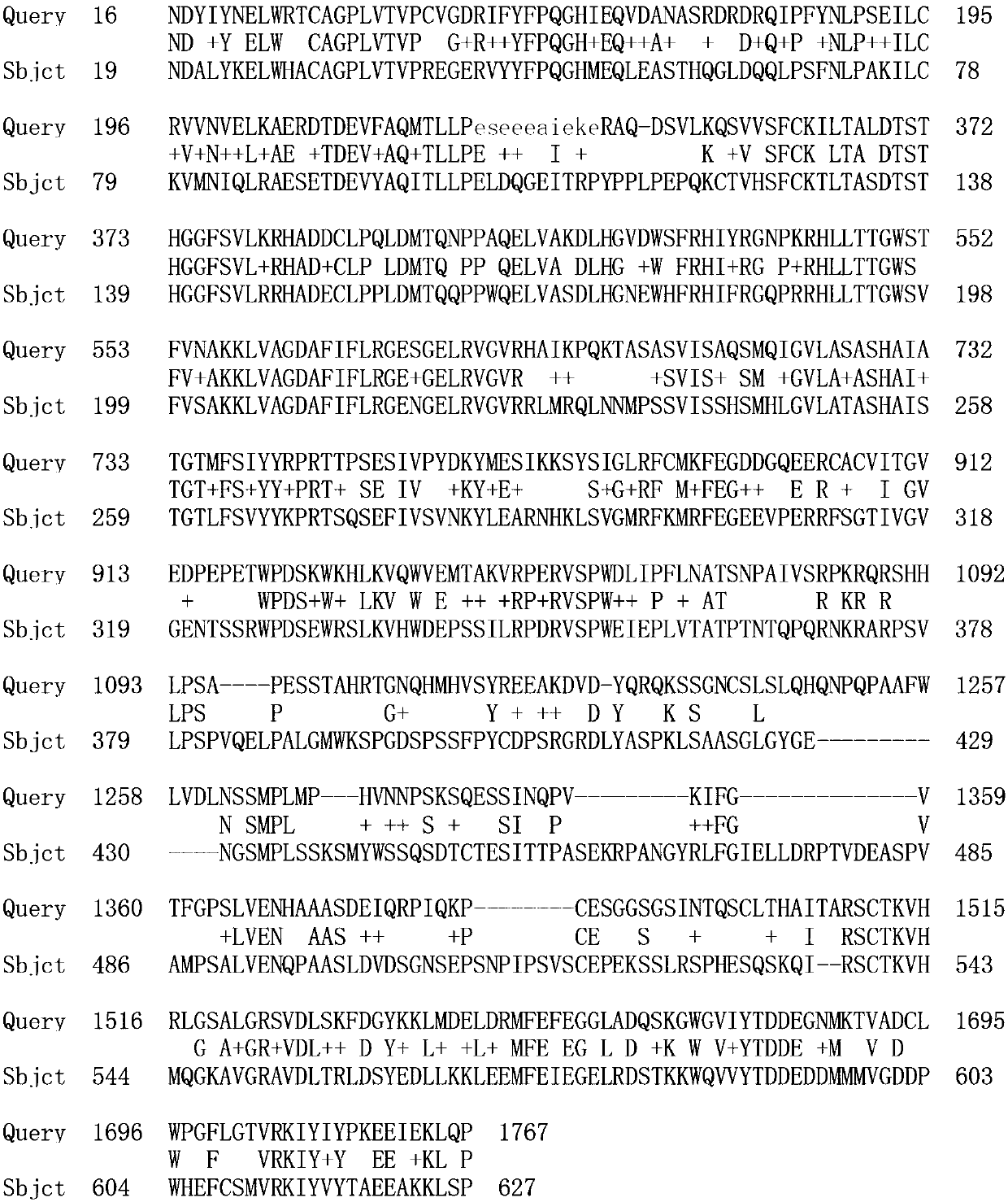 The auxin response factor aparf1 of Agapanthus chinensis and its coding gene and probe