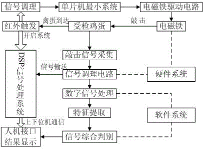 On-line nondestructive detection method and device for eggshell strength