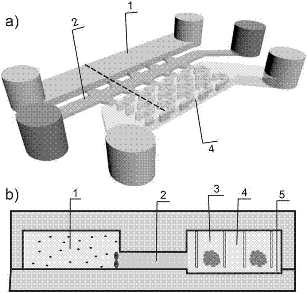 Microfluidic chip based on nanometer drug delivery system screening 3D solid tumor model and preparation method and application thereof