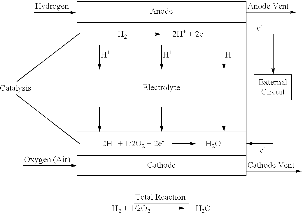 Modulized single cell and assembled cell unit of a proton exchange membrane fuel cell