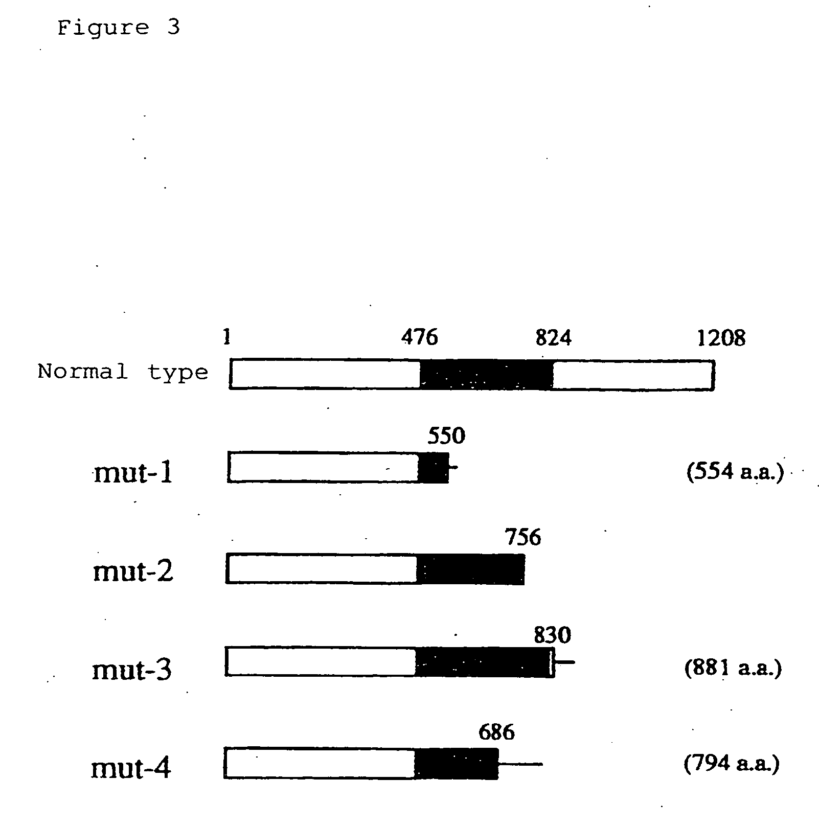 Gene causative of Rothmund-Thomson syndrome and gene product