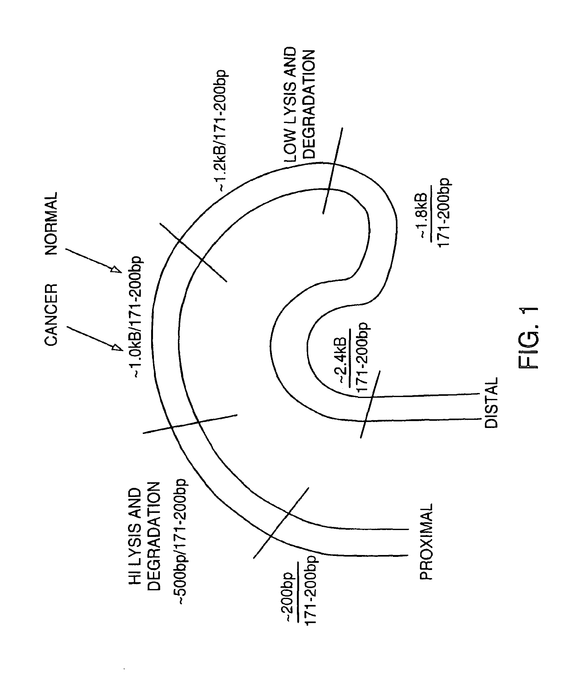 Methods for detecting nucleic acids indicative of cancer