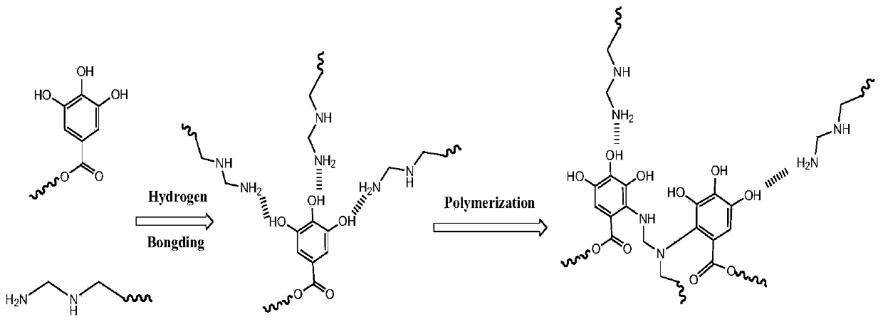 Tannin-polyethyleneimine composite material and application thereof