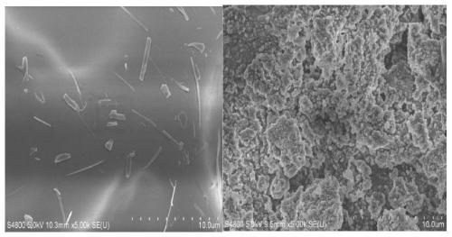 Tannin-polyethyleneimine composite material and application thereof