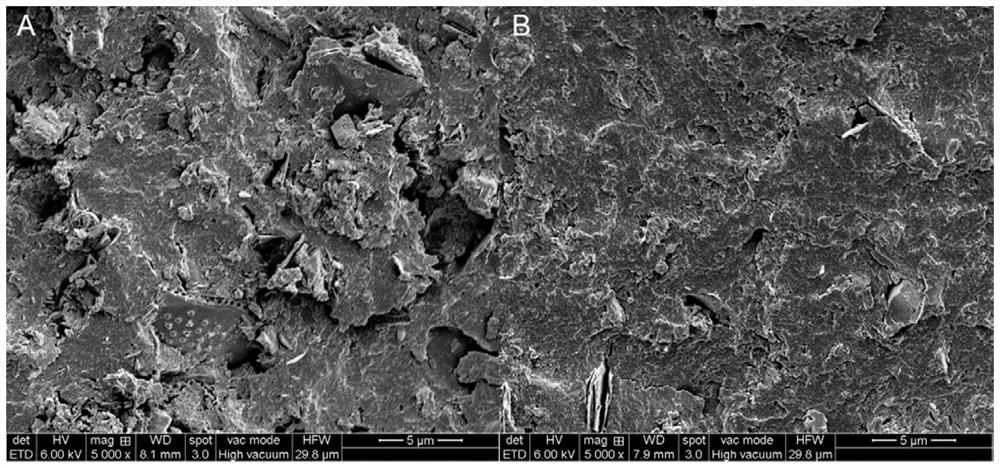 Method for conditioning excess sludge through cooperation of aluminum sludge and advanced oxidation