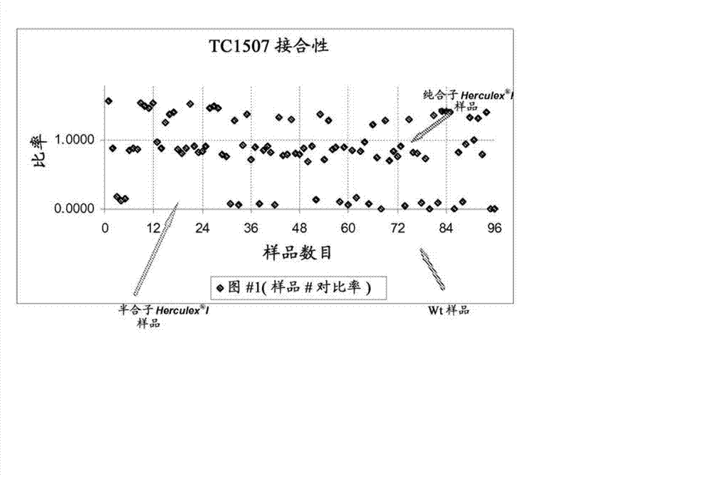 Endpoint TAQMAN methods for determining zygosity of corn comprising TC1507 events