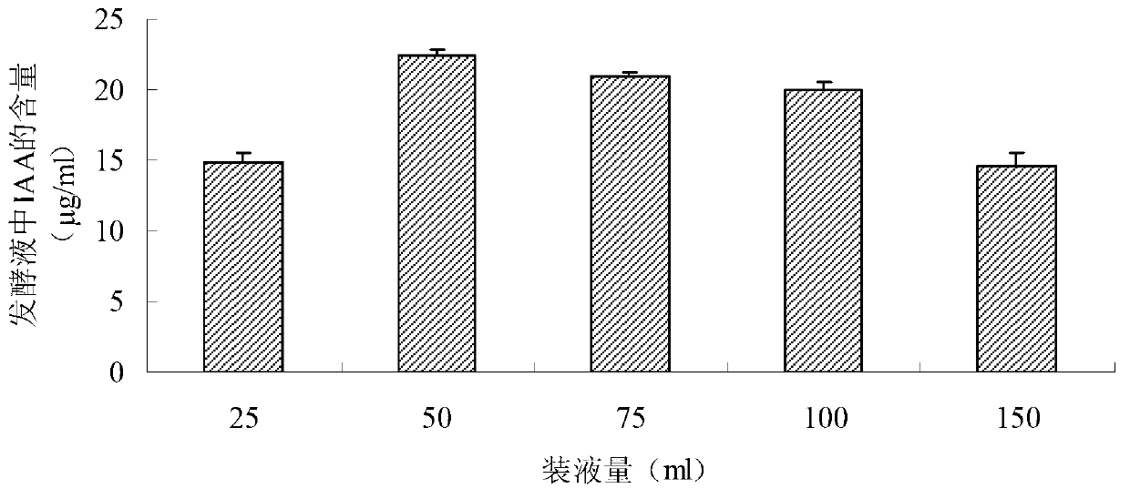 Bacillus megaterium and application thereof