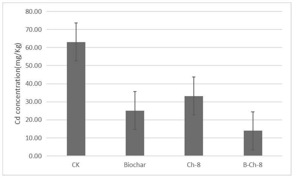 A method of sludge biochar immobilization bacteria combined with phytoremediation of heavy metal polluted soil