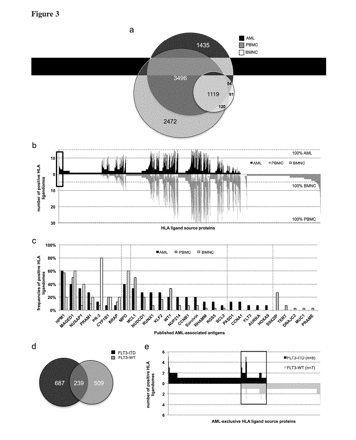 Novel immunotherapy against several tumors of the blood, such as acute myeloid leukemia (AML)