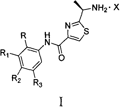 Salifying method of 2-(1-amido-ethyl)-N-phenyl thiazole-4-methanamide compound and application