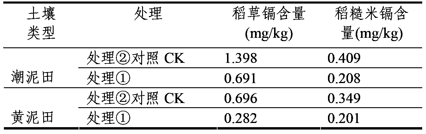 Cadmium pollution bioremediation agent as well as preparation method and application thereof