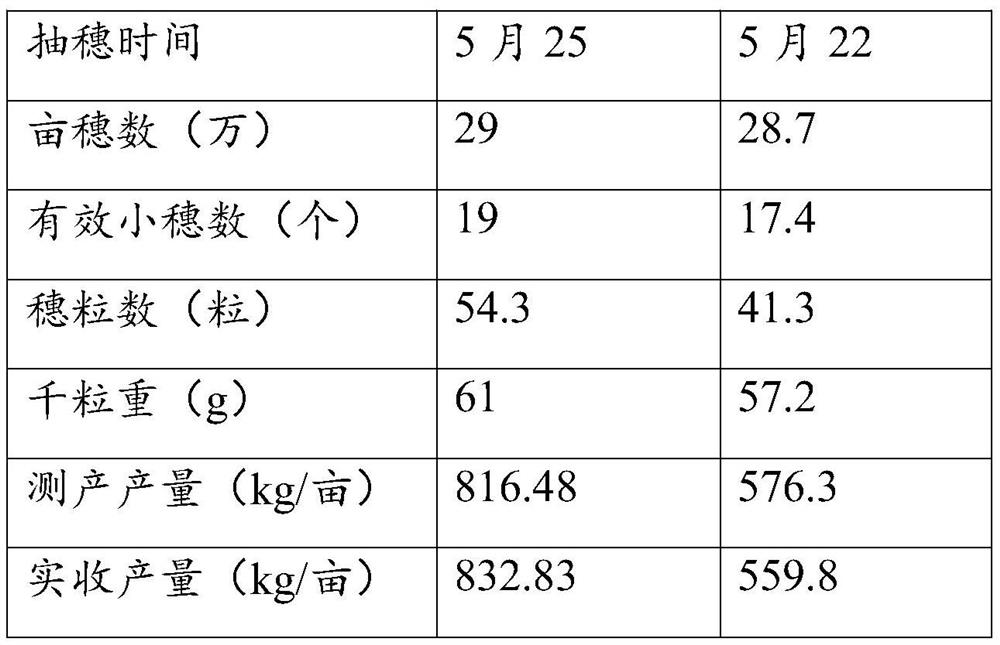 A kind of method for planting wheat in northern Xinjiang