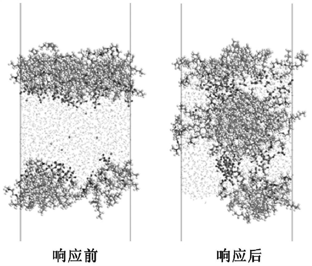 Simulation method for performance research of CO2 intelligent response type temperature-resistant and salt-resistant tertiary amine foam system