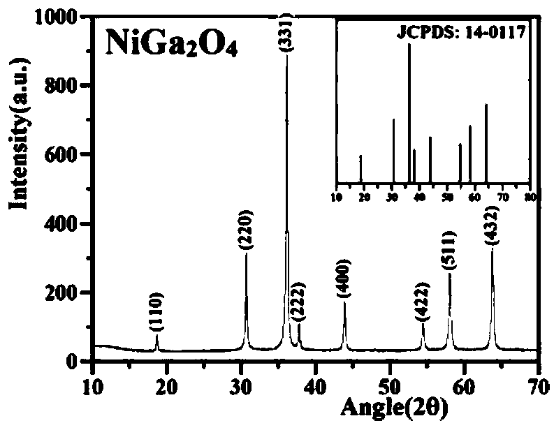 Photocatalyst (Cu, Pd)-NiGa2O4/BiVO4 with double promoter and application thereof
