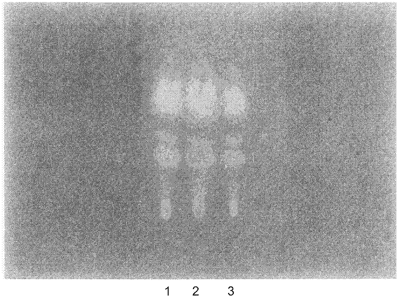 A detection method for Ruhe Sanjie capsules