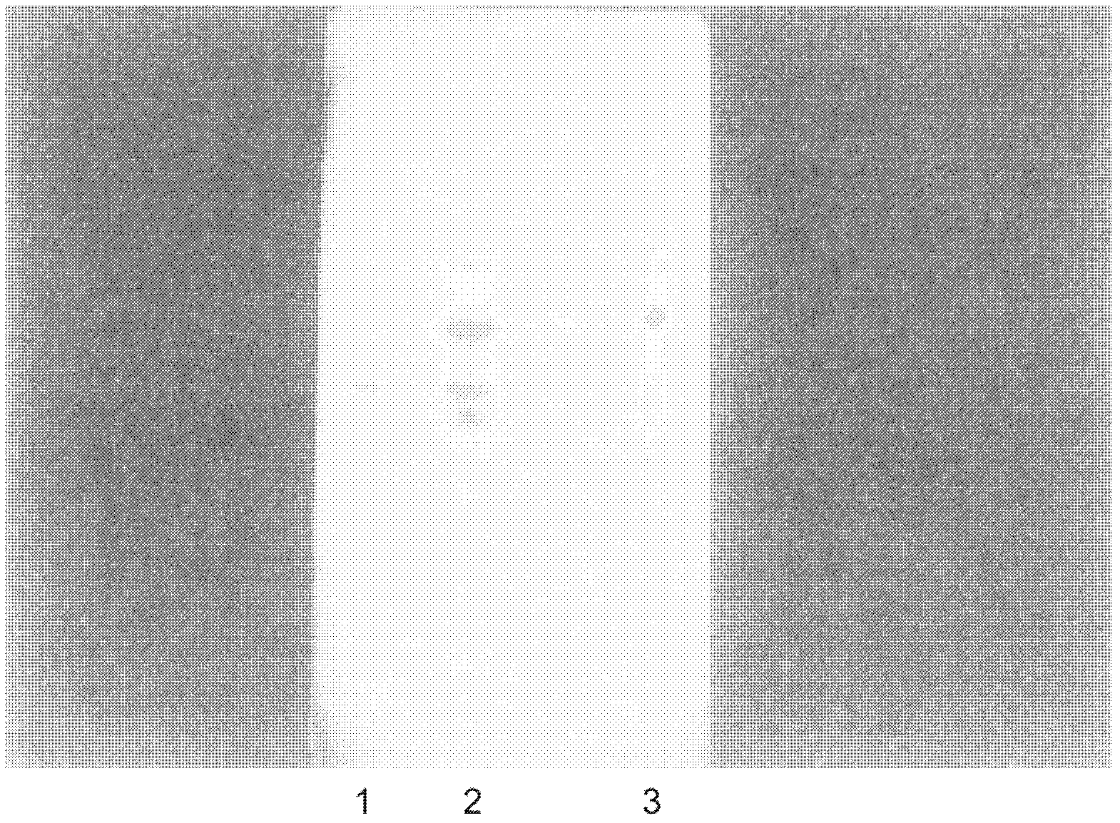 A detection method for Ruhe Sanjie capsules