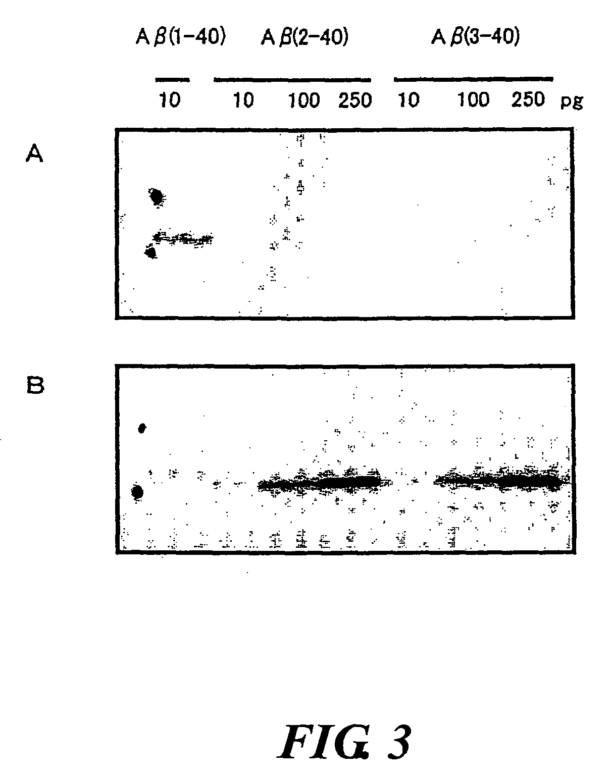 Monoclonal antibodies and use thereof