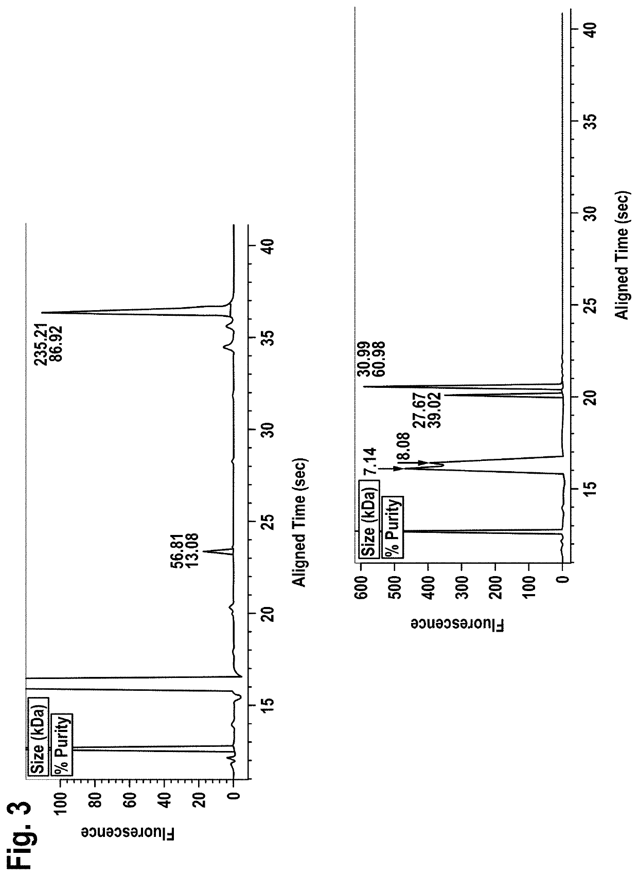 The compbody - a multivalent target binder