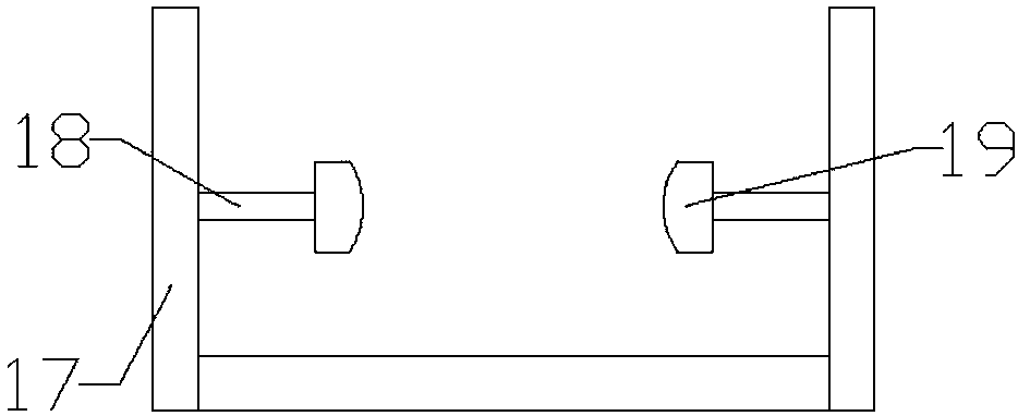 Peeling and processing device for potatoes