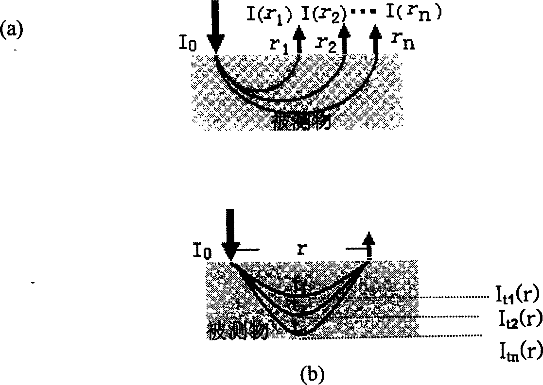 Method for realizing concentration measurement by employing flotation benchmarks