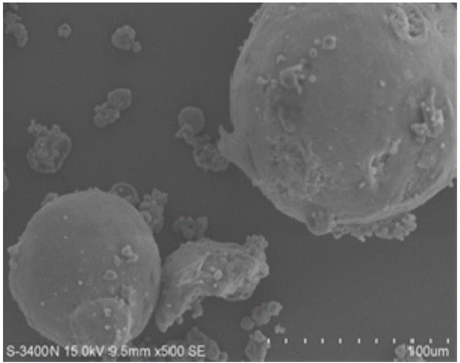 Trichoderma sp. chlamydospore microcapsule and its preparation method and use
