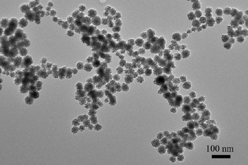 Self-supporting AuPd alloy mesoporous nanosphere and preparation method and application thereof