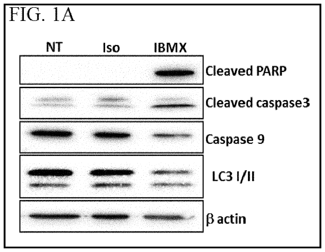 Methods for treating cancer using purine analogs by depleting intracellular atp