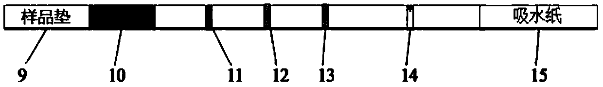 A method for combined detection of rheumatoid factor (igm type) and other antigen-specific igm antibodies