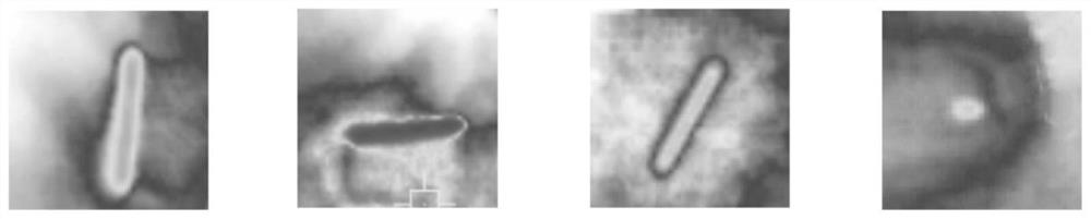 Infrared image defect edge detection method based on improved mathematical morphology