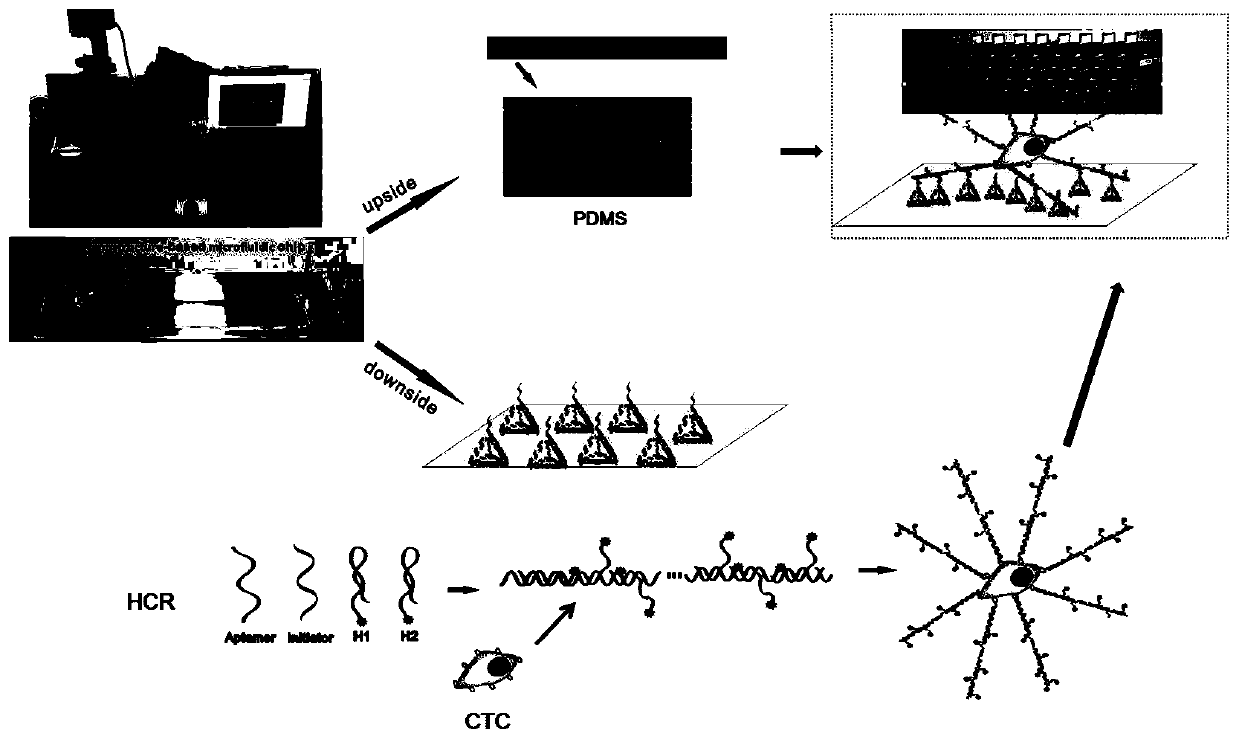 DNA nanostructure-modified microfluidic chip for optical biosensing and preparation and application of DNA nanostructure-modified microfluidic chip