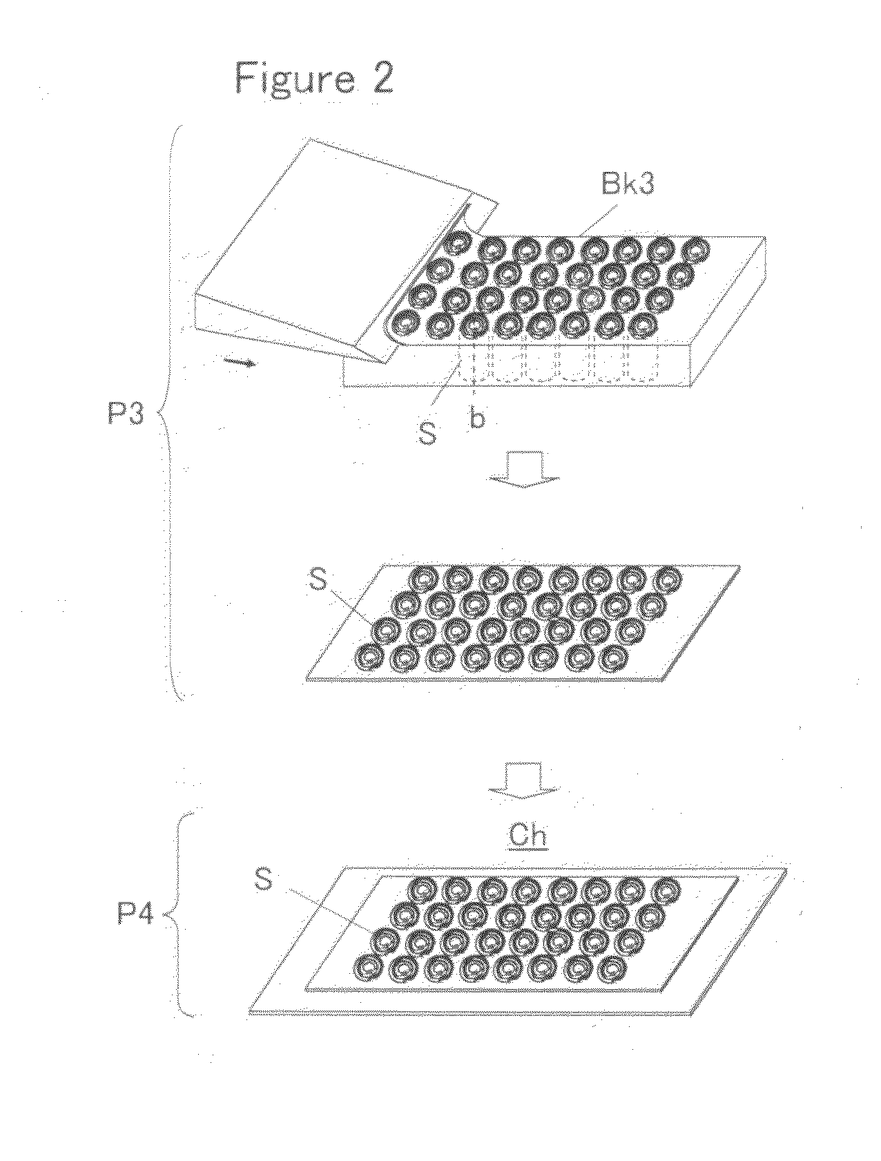 Tissue piece forming device and tissue piece forming method
