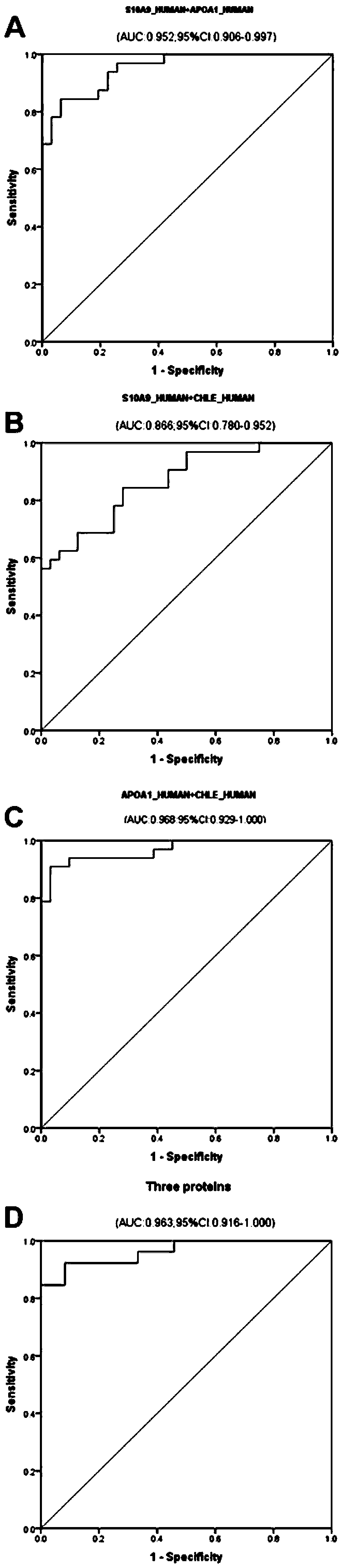 Serum/plasma protein molecular marker related to auxiliary diagnosis of intrahepatic cholestasis in gestation period and application thereof