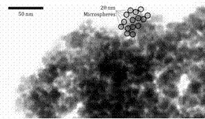 Method for preparing 1,3-diglyceride from surface active magnetic nanoparticle immobilized lipase