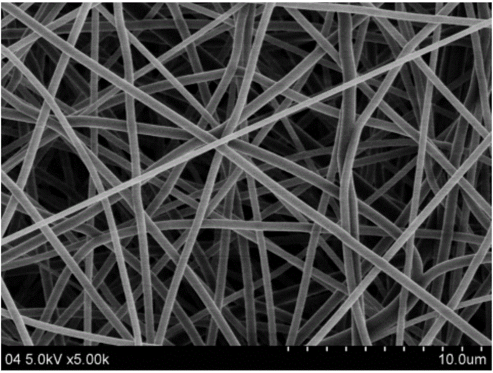 Method for preparing dandelion phenol activity antibacterial agent and chitosan composite nanofiber felt