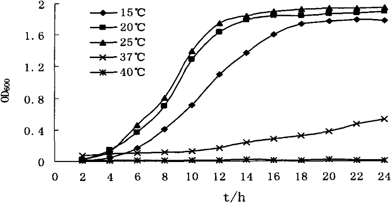 Aeromonas 6-38 and application thereof