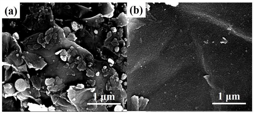 Negative electrode material and preparation method and application thereof