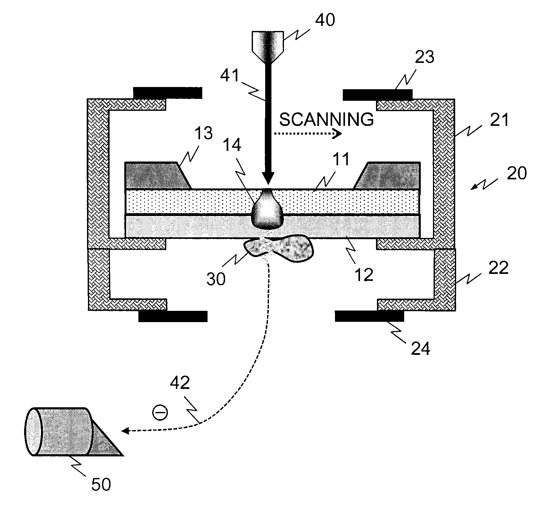 Sample supporting member for observing scanning electron microscopic image and method for observing scanning electron microscopic image