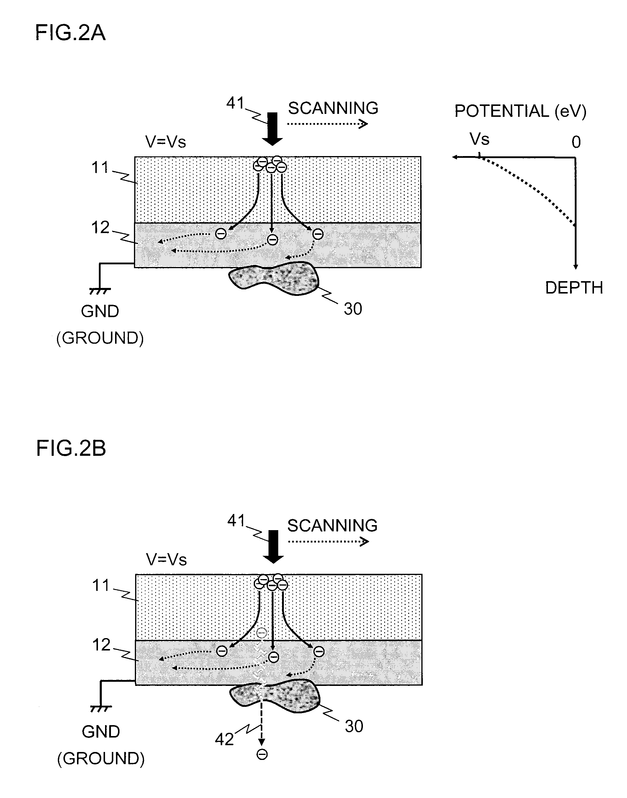 Sample supporting member for observing scanning electron microscopic image and method for observing scanning electron microscopic image