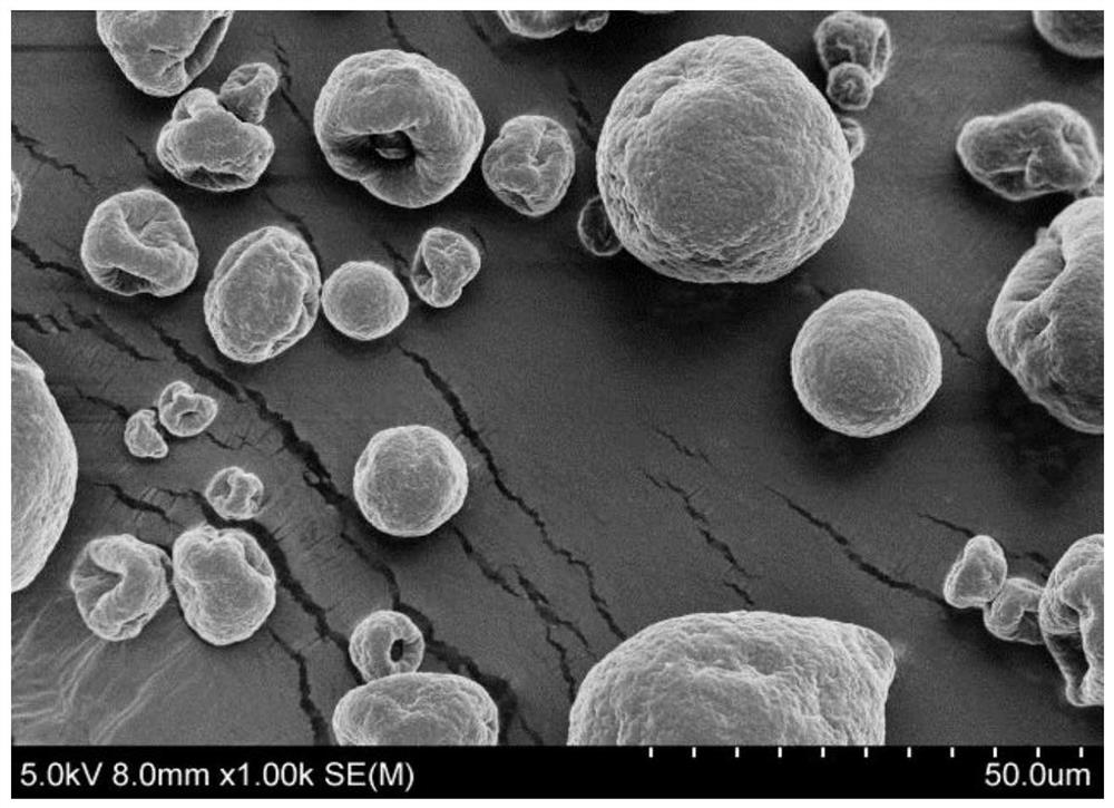 Synthesis method of bagasse xylan/naringin-g-HPMA acetylsalicylate