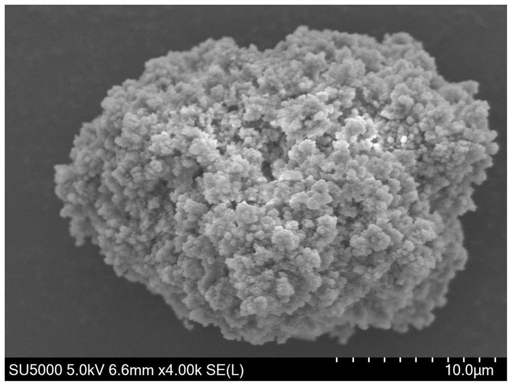 Synthesis method of bagasse xylan/naringin-g-HPMA acetylsalicylate