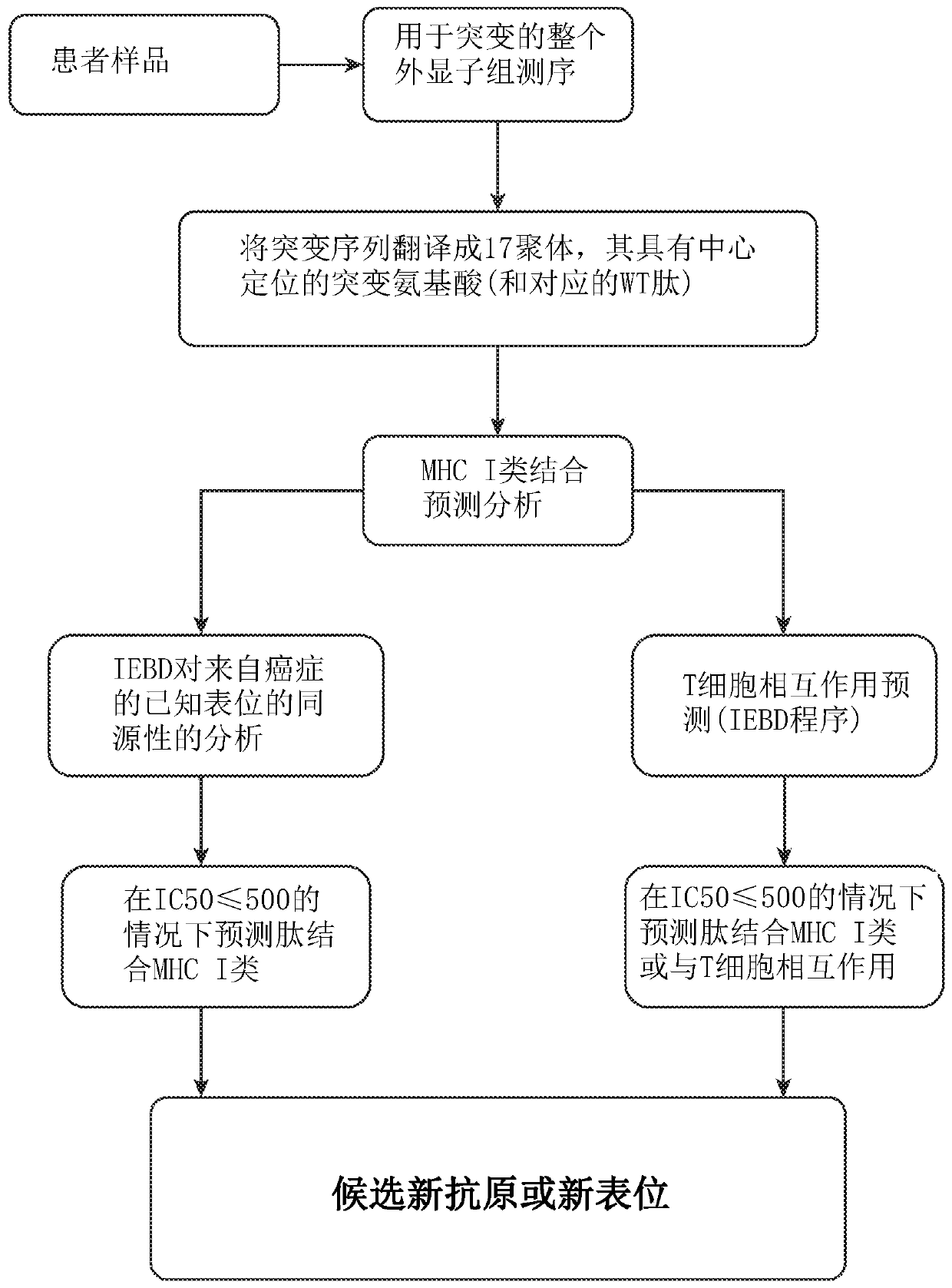 Neoepitope vaccine compositions and methods of use thereof