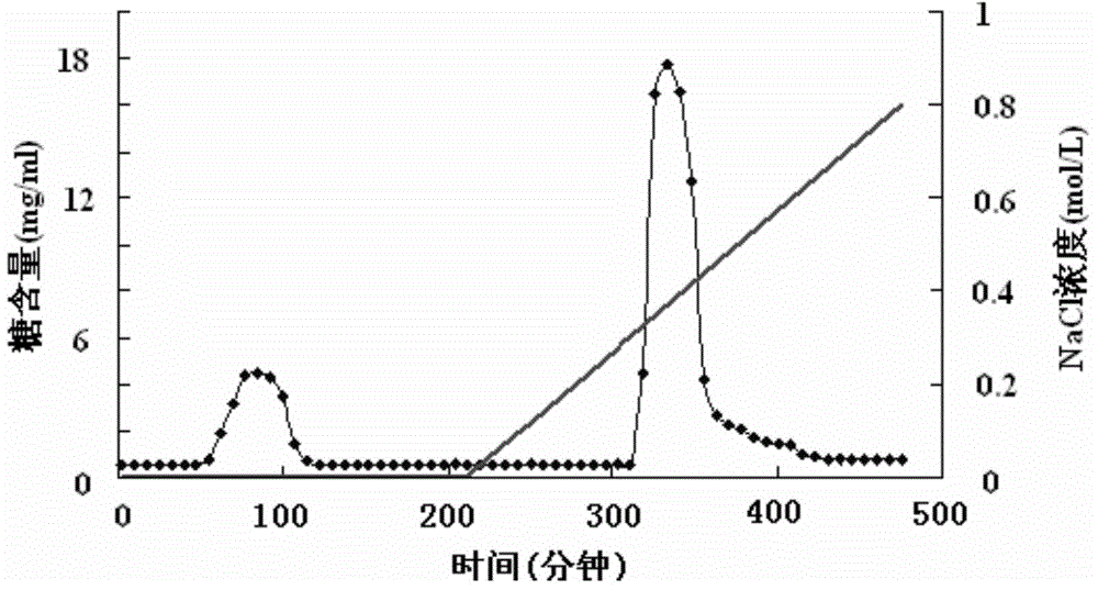 Acanthopanox giraldilharms polysaccharide, extraction and purification method, composition analysis method and use