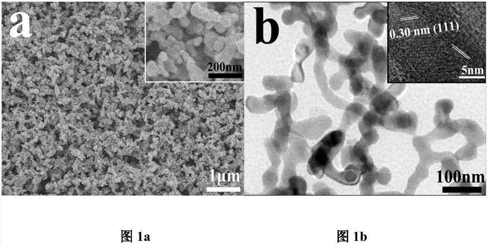 FeS2 nano-material with three-dimensional structure, and preparation method and application thereof