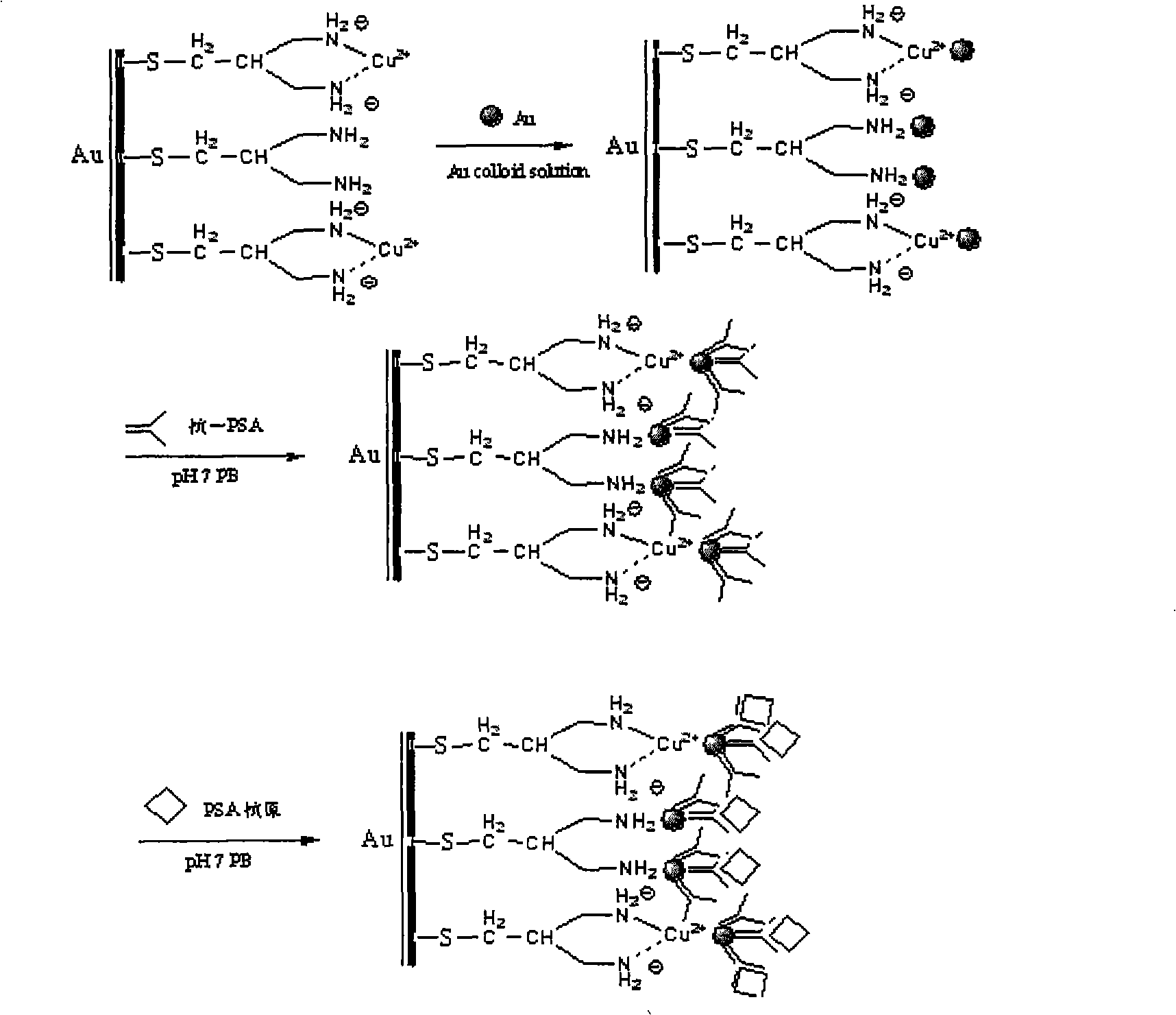 Device and method for fast detecting PSA prostate specific antigen