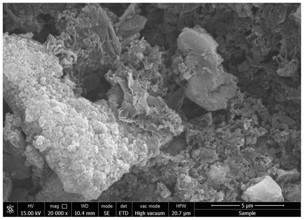 A kind of molten salt chemically synthesized carbon powder and its preparation method and application