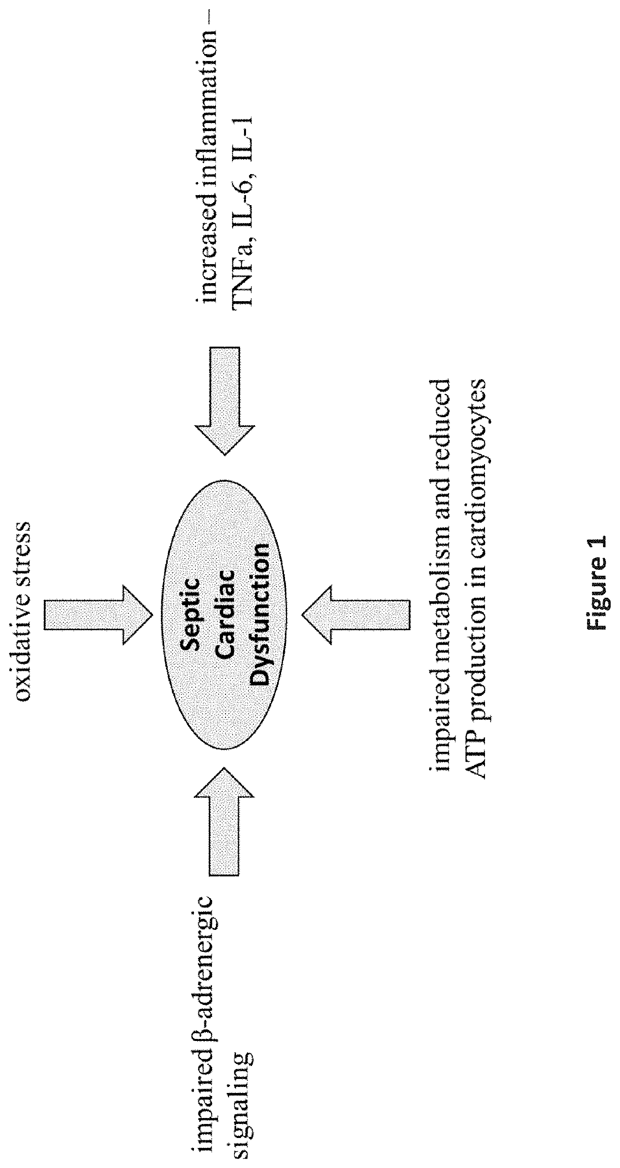 Compositions and methods for treating septic cardiomyopathy